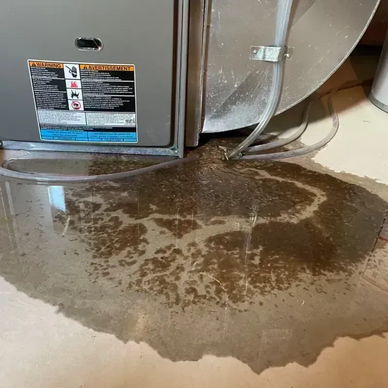 Appliance Leak Cleanup in Lake Summerset, IL